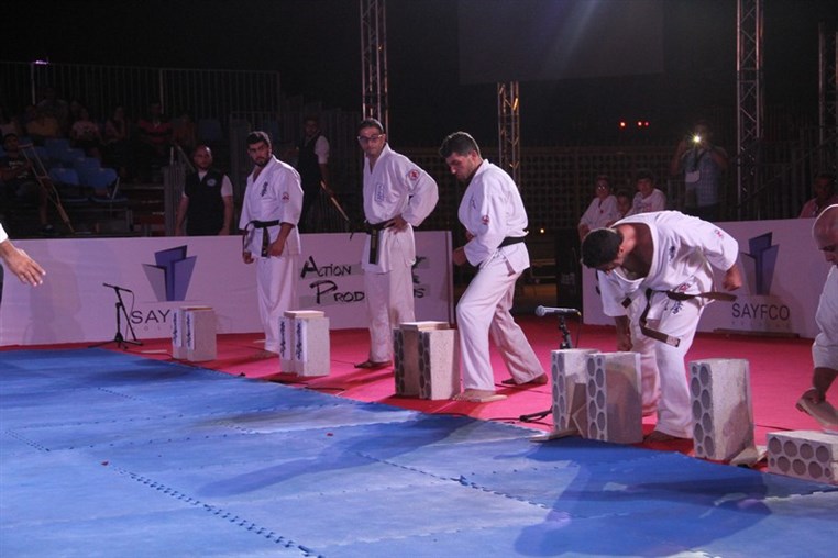 Martial Arts Festival